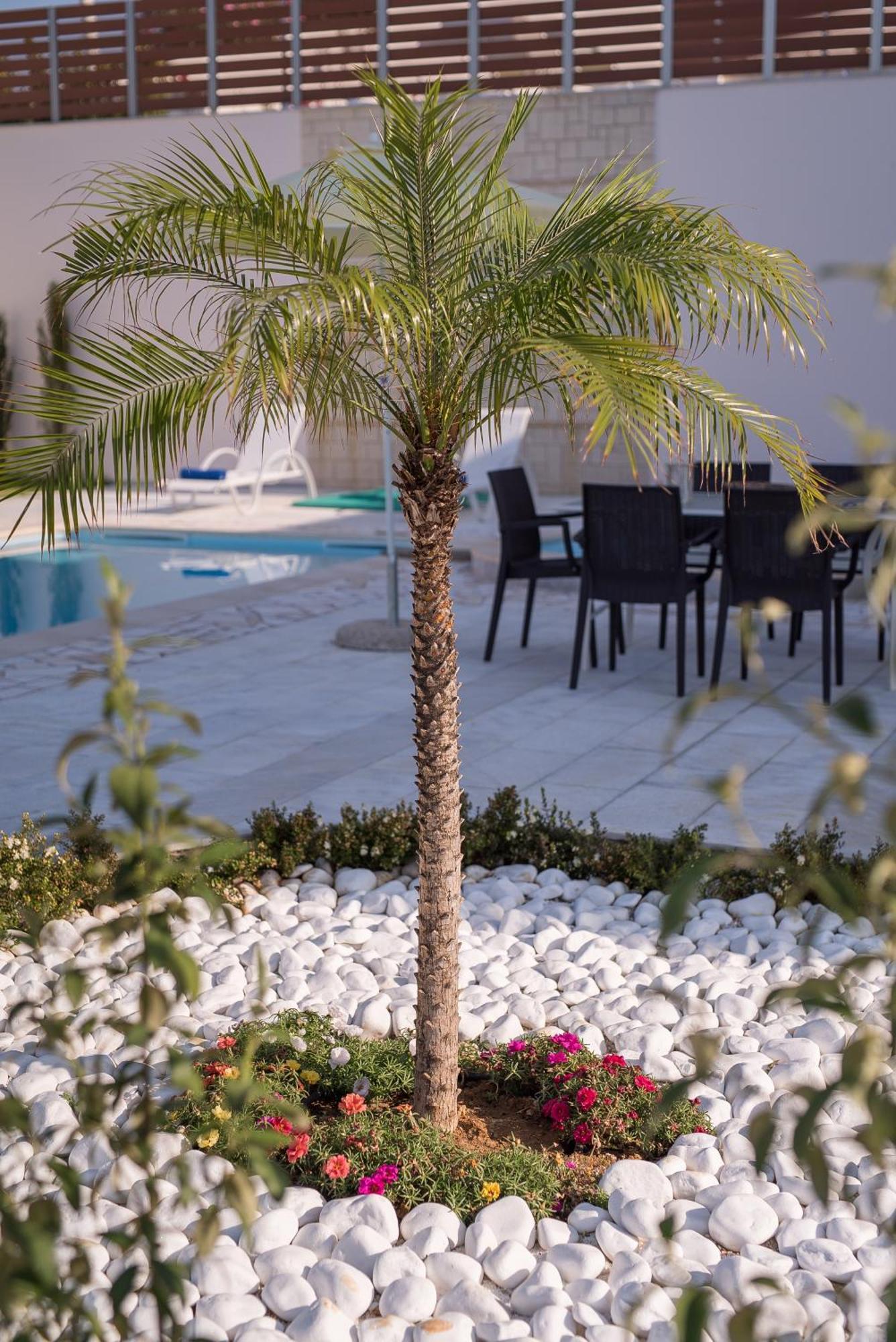 Koukos Villas スタロス 部屋 写真